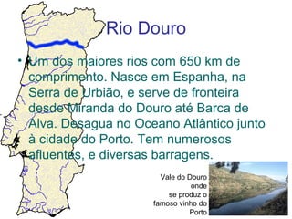 Rio Douro
• Um dos maiores rios com 650 km de
comprimento. Nasce em Espanha, na
Serra de Urbião, e serve de fronteira
desde Miranda do Douro até Barca de
Alva. Desagua no Oceano Atlântico junto
à cidade do Porto. Tem numerosos
afluentes, e diversas barragens.
Vale do Douro
onde
se produz o
famoso vinho do
Porto

 