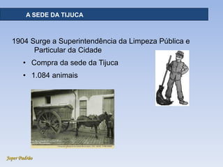 Joper Padrão
RECURSOS HÍDRICOS - DISTRIBUIÇÃOA SEDE DA TIJUCA
1904 Surge a Superintendência da Limpeza Pública e
Particular da Cidade
• Compra da sede da Tijuca
• 1.084 animais
 