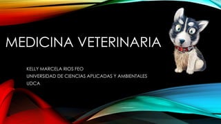 MEDICINA VETERINARIA
KELLY MARCELA RIOS FEO
UNIVERSIDAD DE CIENCIAS APLICADAS Y AMBIENTALES
UDCA
 
