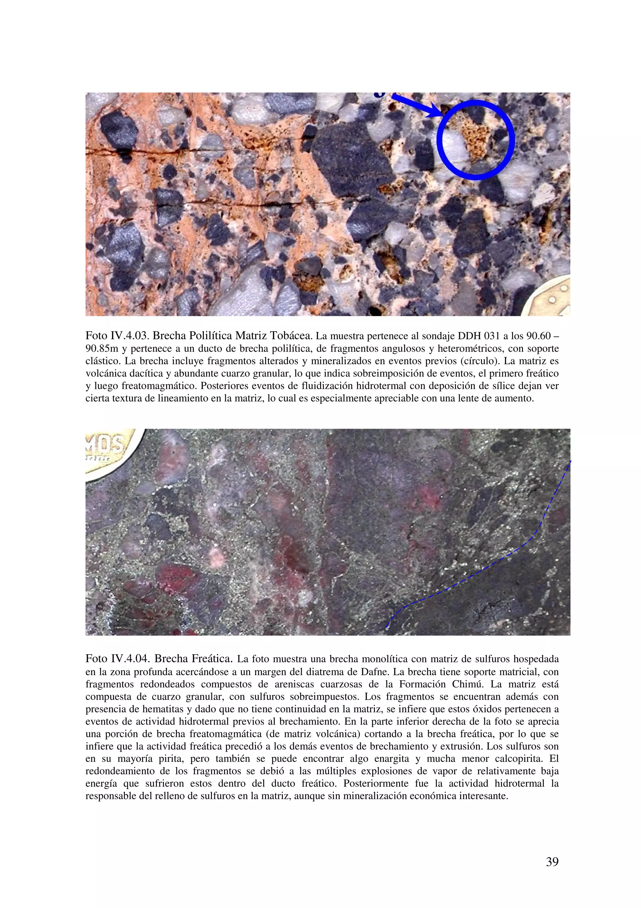Foto IV.4.03. Brecha Polilítica Matriz Tobácea. La muestra pertenece al sondaje DDH 031 a los 90.60 –
90.85m y pertenece a un ducto de brecha polilítica, de fragmentos angulosos y heterométricos, con soporte
clástico. La brecha incluye fragmentos alterados y mineralizados en eventos previos (círculo). La matriz es
volcánica dacítica y abundante cuarzo granular, lo que indica sobreimposición de eventos, el primero freático
y luego freatomagmático. Posteriores eventos de fluidización hidrotermal con deposición de sílice dejan ver
cierta textura de lineamiento en la matriz, lo cual es especialmente apreciable con una lente de aumento.




Foto IV.4.04. Brecha Freática. La foto muestra una brecha monolítica con matriz de sulfuros hospedada
en la zona profunda acercándose a un margen del diatrema de Dafne. La brecha tiene soporte matricial, con
fragmentos redondeados compuestos de areniscas cuarzosas de la Formación Chimú. La matriz está
compuesta de cuarzo granular, con sulfuros sobreimpuestos. Los fragmentos se encuentran además con
presencia de hematitas y dado que no tiene continuidad en la matriz, se infiere que estos óxidos pertenecen a
eventos de actividad hidrotermal previos al brechamiento. En la parte inferior derecha de la foto se aprecia
una porción de brecha freatomagmática (de matriz volcánica) cortando a la brecha freática, por lo que se
infiere que la actividad freática precedió a los demás eventos de brechamiento y extrusión. Los sulfuros son
en su mayoría pirita, pero también se puede encontrar algo enargita y mucha menor calcopirita. El
redondeamiento de los fragmentos se debió a las múltiples explosiones de vapor de relativamente baja
energía que sufrieron estos dentro del ducto freático. Posteriormente fue la actividad hidrotermal la
responsable del relleno de sulfuros en la matriz, aunque sin mineralización económica interesante.




                                                                                                         39
 