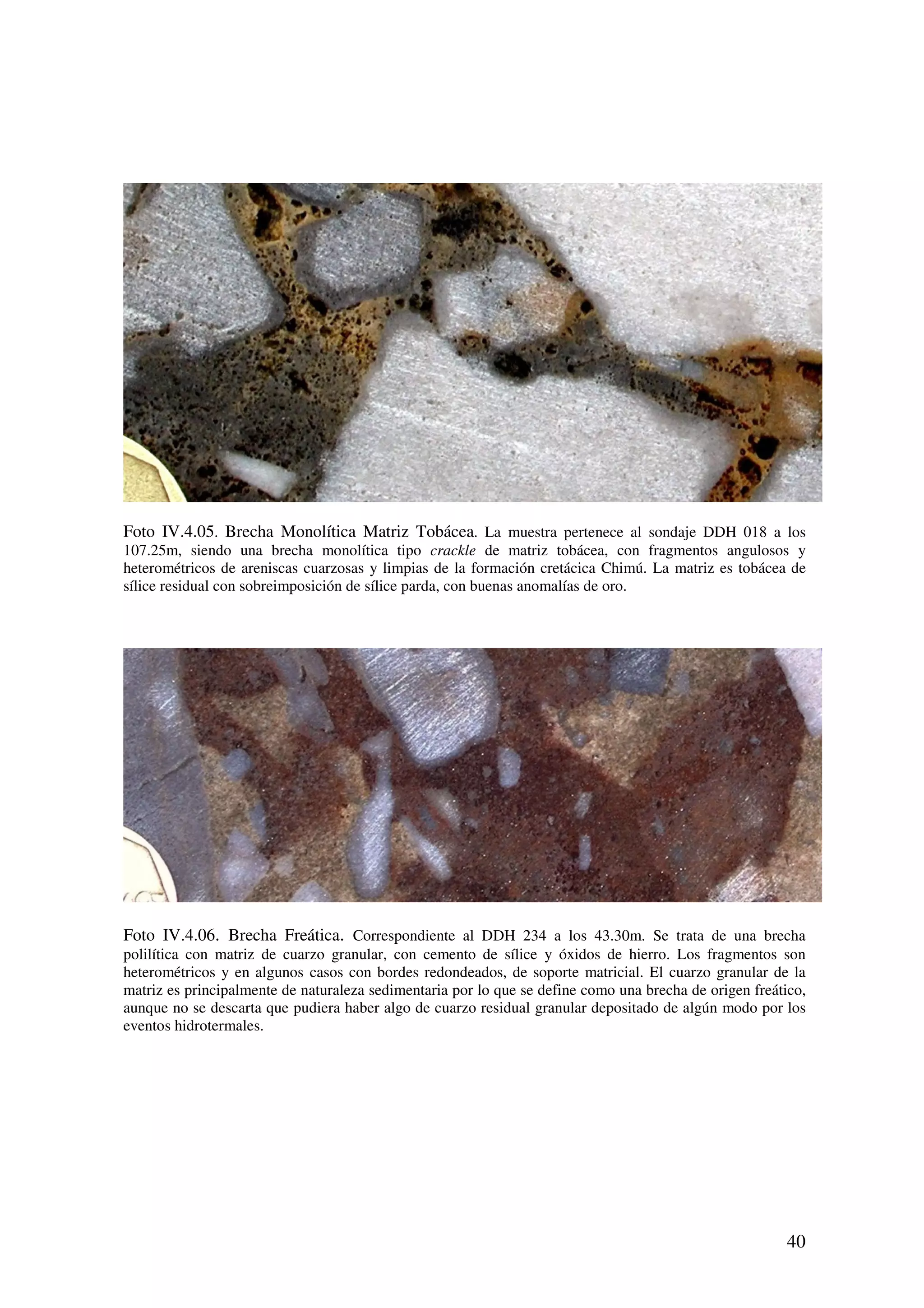 Foto IV.4.05. Brecha Monolítica Matriz Tobácea. La muestra pertenece al sondaje DDH 018 a los
107.25m, siendo una brecha monolítica tipo crackle de matriz tobácea, con fragmentos angulosos y
heterométricos de areniscas cuarzosas y limpias de la formación cretácica Chimú. La matriz es tobácea de
sílice residual con sobreimposición de sílice parda, con buenas anomalías de oro.




Foto IV.4.06. Brecha Freática. Correspondiente al DDH 234 a los 43.30m. Se trata de una brecha
polilítica con matriz de cuarzo granular, con cemento de sílice y óxidos de hierro. Los fragmentos son
heterométricos y en algunos casos con bordes redondeados, de soporte matricial. El cuarzo granular de la
matriz es principalmente de naturaleza sedimentaria por lo que se define como una brecha de origen freático,
aunque no se descarta que pudiera haber algo de cuarzo residual granular depositado de algún modo por los
eventos hidrotermales.




                                                                                                        40
 