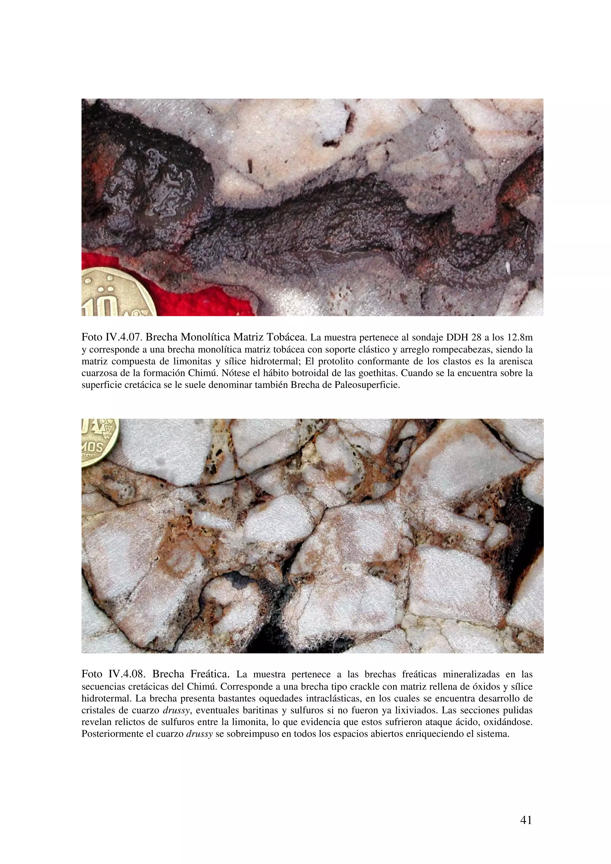 Foto IV.4.07. Brecha Monolítica Matriz Tobácea. La muestra pertenece al sondaje DDH 28 a los 12.8m
y corresponde a una brecha monolítica matriz tobácea con soporte clástico y arreglo rompecabezas, siendo la
matriz compuesta de limonitas y sílice hidrotermal; El protolito conformante de los clastos es la arenisca
cuarzosa de la formación Chimú. Nótese el hábito botroidal de las goethitas. Cuando se la encuentra sobre la
superficie cretácica se le suele denominar también Brecha de Paleosuperficie.




Foto IV.4.08. Brecha Freática. La muestra pertenece a las brechas freáticas mineralizadas en las
secuencias cretácicas del Chimú. Corresponde a una brecha tipo crackle con matriz rellena de óxidos y sílice
hidrotermal. La brecha presenta bastantes oquedades intraclásticas, en los cuales se encuentra desarrollo de
cristales de cuarzo drussy, eventuales baritinas y sulfuros si no fueron ya lixiviados. Las secciones pulidas
revelan relictos de sulfuros entre la limonita, lo que evidencia que estos sufrieron ataque ácido, oxidándose.
Posteriormente el cuarzo drussy se sobreimpuso en todos los espacios abiertos enriqueciendo el sistema.




                                                                                                          41
 