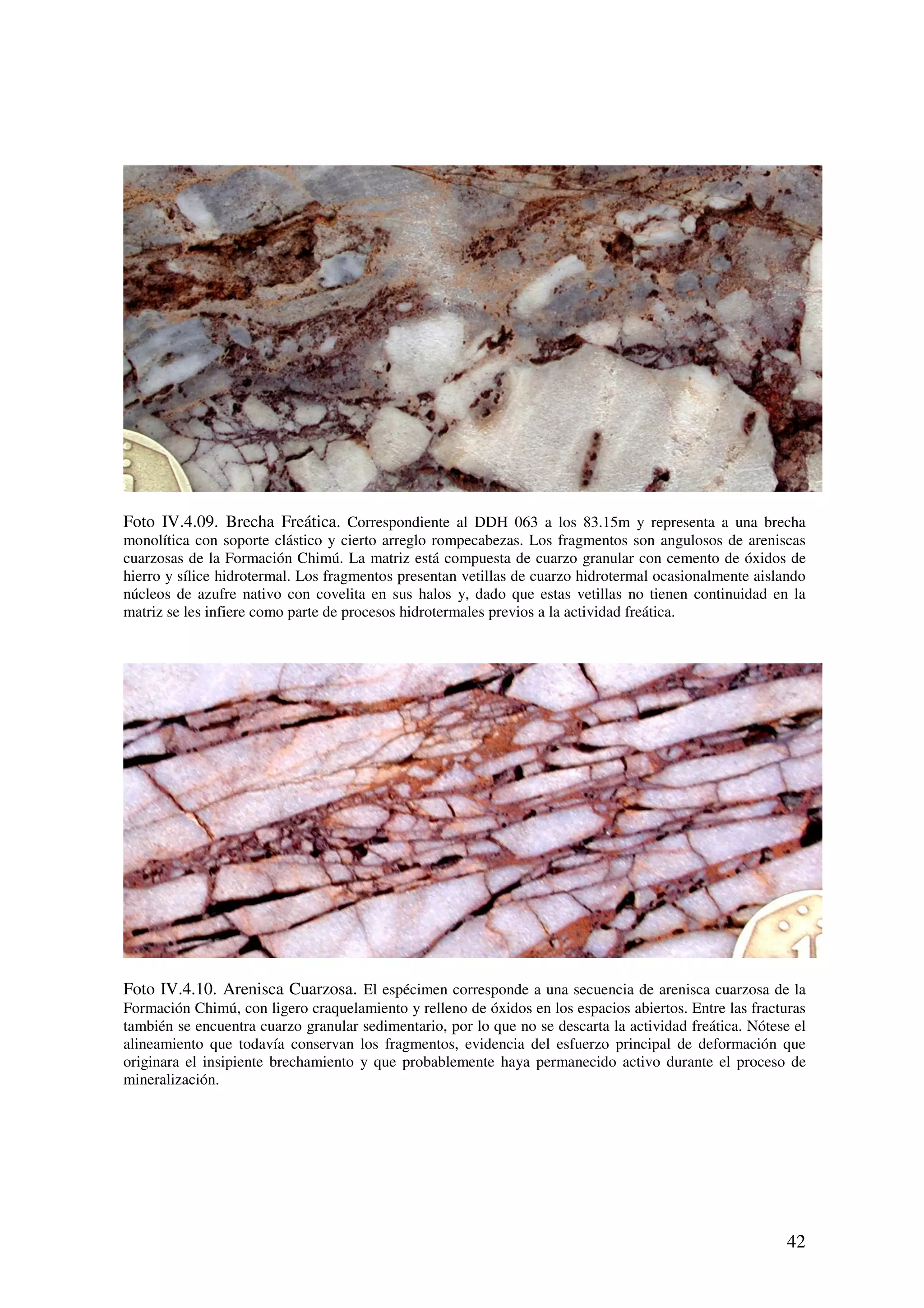 Foto IV.4.09. Brecha Freática. Correspondiente al DDH 063 a los 83.15m y representa a una brecha
monolítica con soporte clástico y cierto arreglo rompecabezas. Los fragmentos son angulosos de areniscas
cuarzosas de la Formación Chimú. La matriz está compuesta de cuarzo granular con cemento de óxidos de
hierro y sílice hidrotermal. Los fragmentos presentan vetillas de cuarzo hidrotermal ocasionalmente aislando
núcleos de azufre nativo con covelita en sus halos y, dado que estas vetillas no tienen continuidad en la
matriz se les infiere como parte de procesos hidrotermales previos a la actividad freática.




Foto IV.4.10. Arenisca Cuarzosa. El espécimen corresponde a una secuencia de arenisca cuarzosa de la
Formación Chimú, con ligero craquelamiento y relleno de óxidos en los espacios abiertos. Entre las fracturas
también se encuentra cuarzo granular sedimentario, por lo que no se descarta la actividad freática. Nótese el
alineamiento que todavía conservan los fragmentos, evidencia del esfuerzo principal de deformación que
originara el insipiente brechamiento y que probablemente haya permanecido activo durante el proceso de
mineralización.




                                                                                                         42
 