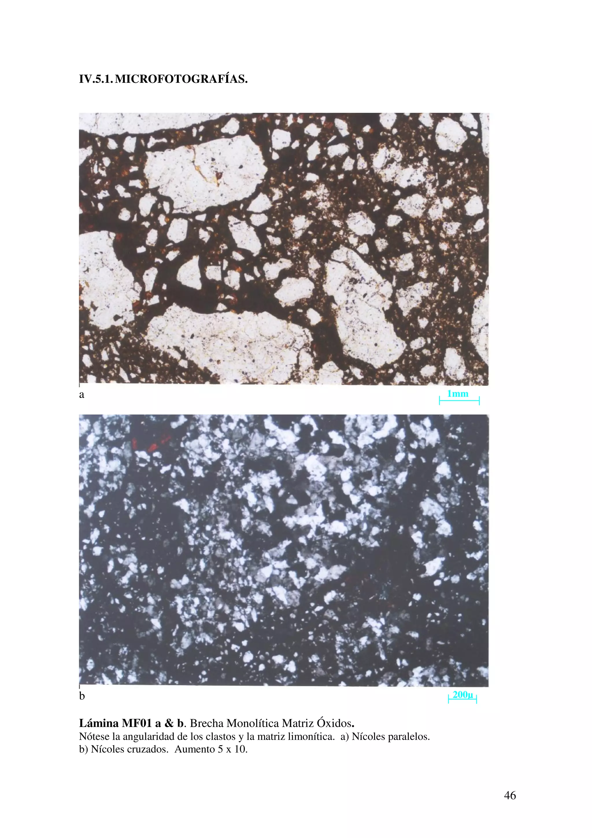 IV.5.1. MICROFOTOGRAFÍAS.




a                                                                                    1mm




b                                                                                    200µ

Lámina MF01 a & b. Brecha Monolítica Matriz Óxidos.
Nótese la angularidad de los clastos y la matriz limonítica. a) Nícoles paralelos.
b) Nícoles cruzados. Aumento 5 x 10.



                                                                                            46
 