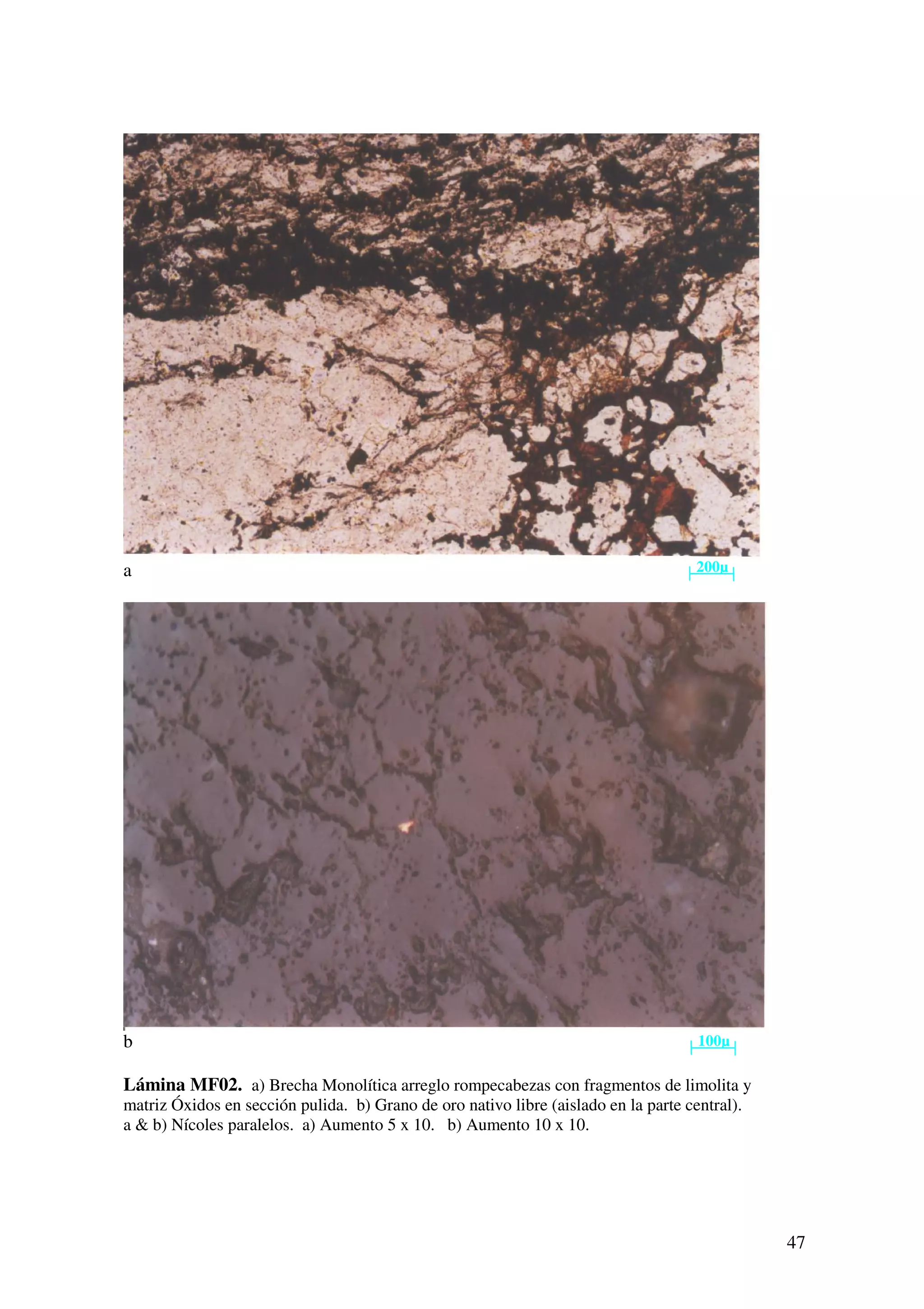 a                                                                                  200µ




b                                                                                   100µ

Lámina MF02. a) Brecha Monolítica arreglo rompecabezas con fragmentos de limolita y
matriz Óxidos en sección pulida. b) Grano de oro nativo libre (aislado en la parte central).
a & b) Nícoles paralelos. a) Aumento 5 x 10. b) Aumento 10 x 10.




                                                                                               47
 