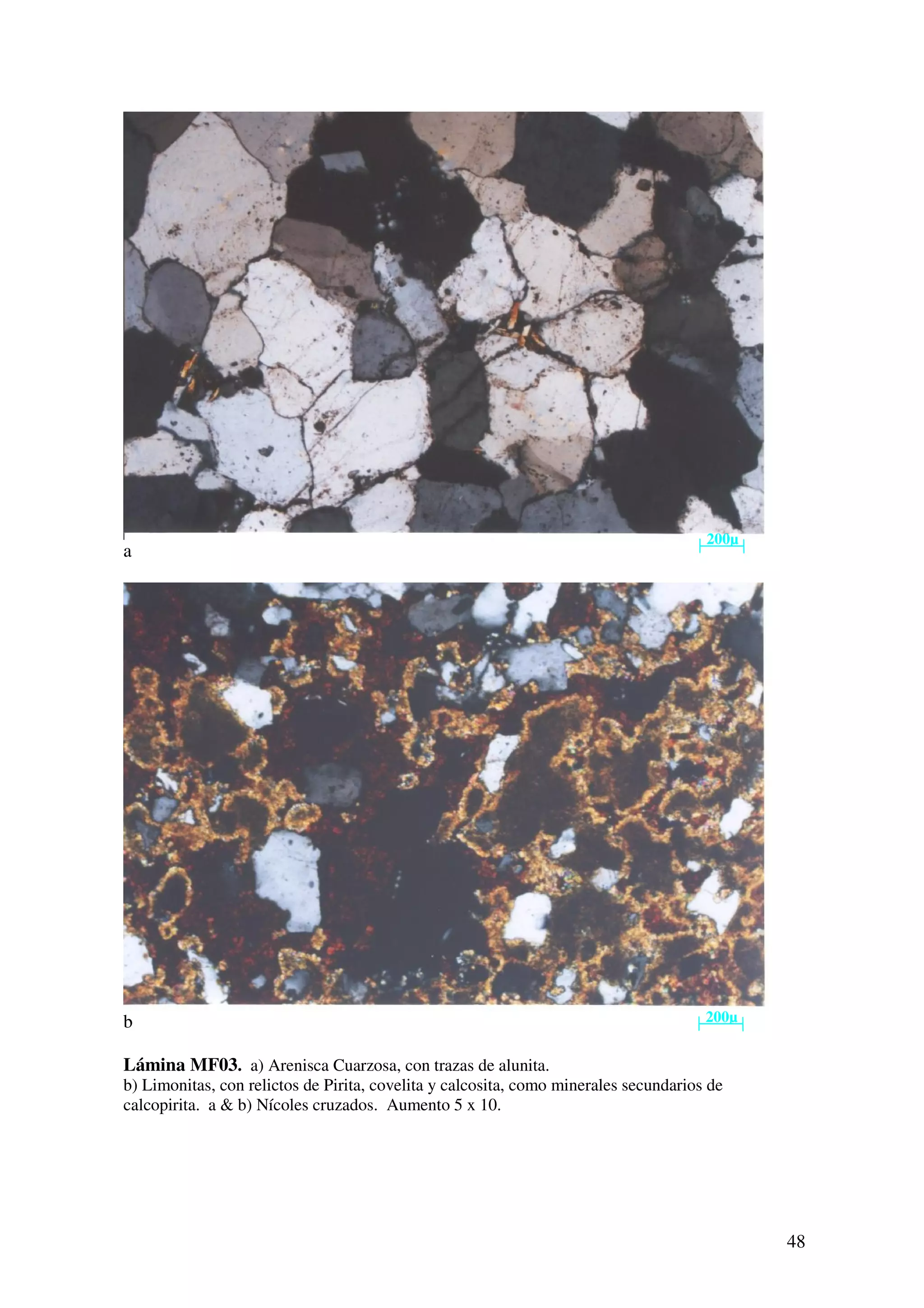 200µ
a




b                                                                                     200µ


Lámina MF03. a) Arenisca Cuarzosa, con trazas de alunita.
b) Limonitas, con relictos de Pirita, covelita y calcosita, como minerales secundarios de
calcopirita. a & b) Nícoles cruzados. Aumento 5 x 10.




                                                                                             48
 