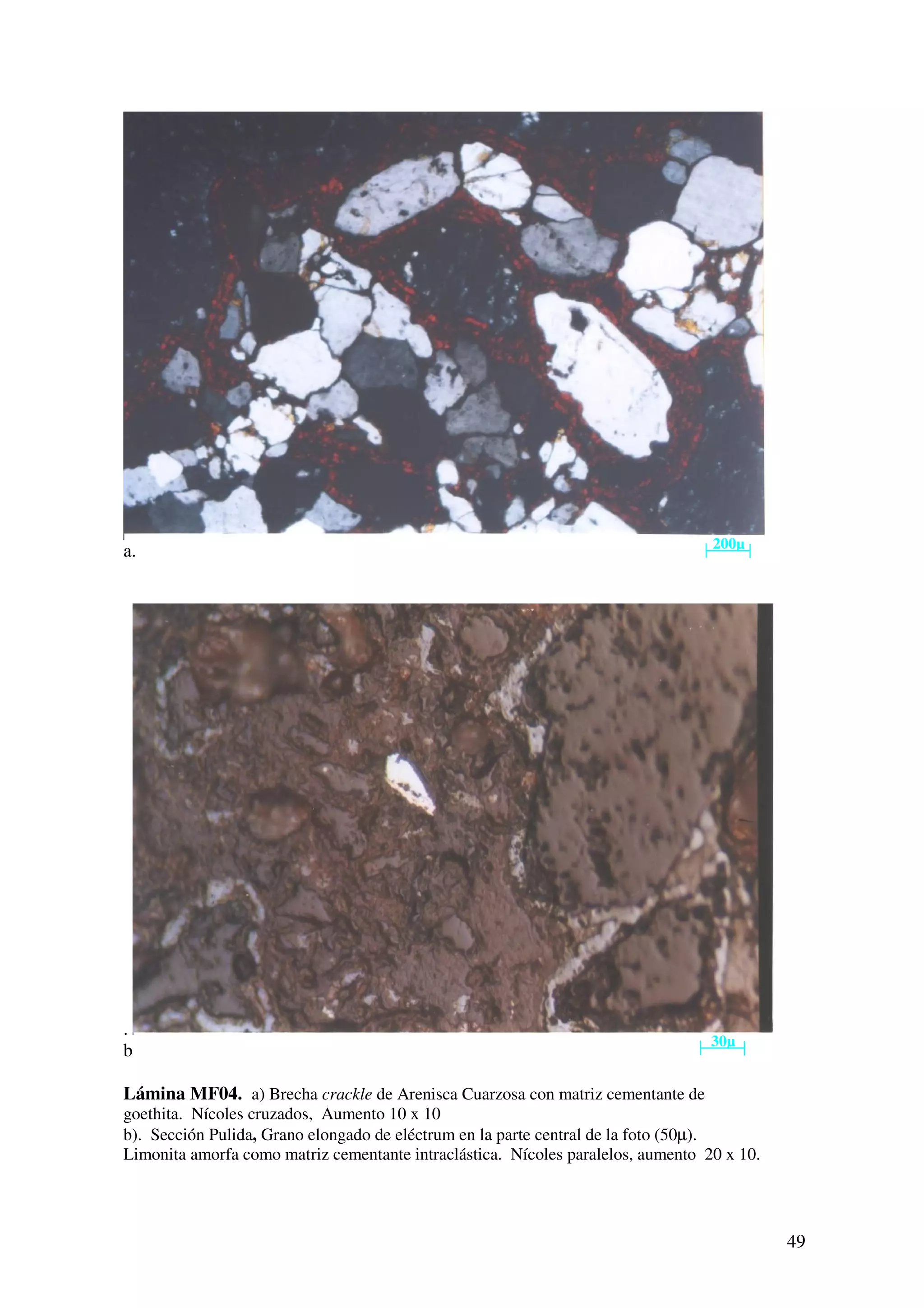 200µ
a.




.
                                                                                  30µ
b

Lámina MF04. a) Brecha crackle de Arenisca Cuarzosa con matriz cementante de
goethita. Nícoles cruzados, Aumento 10 x 10
b). Sección Pulida, Grano elongado de eléctrum en la parte central de la foto (50µ).
Limonita amorfa como matriz cementante intraclástica. Nícoles paralelos, aumento 20 x 10.




                                                                                            49
 