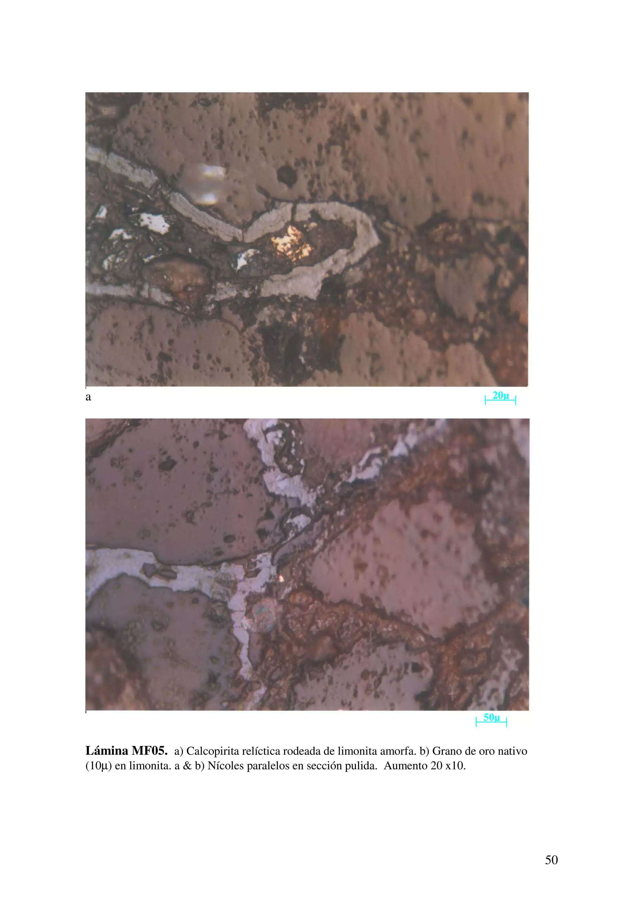 a                                                                                 20µ




                                                                                 50µ


Lámina MF05. a) Calcopirita relíctica rodeada de limonita amorfa. b) Grano de oro nativo
(10µ) en limonita. a & b) Nícoles paralelos en sección pulida. Aumento 20 x10.




                                                                                           50
 