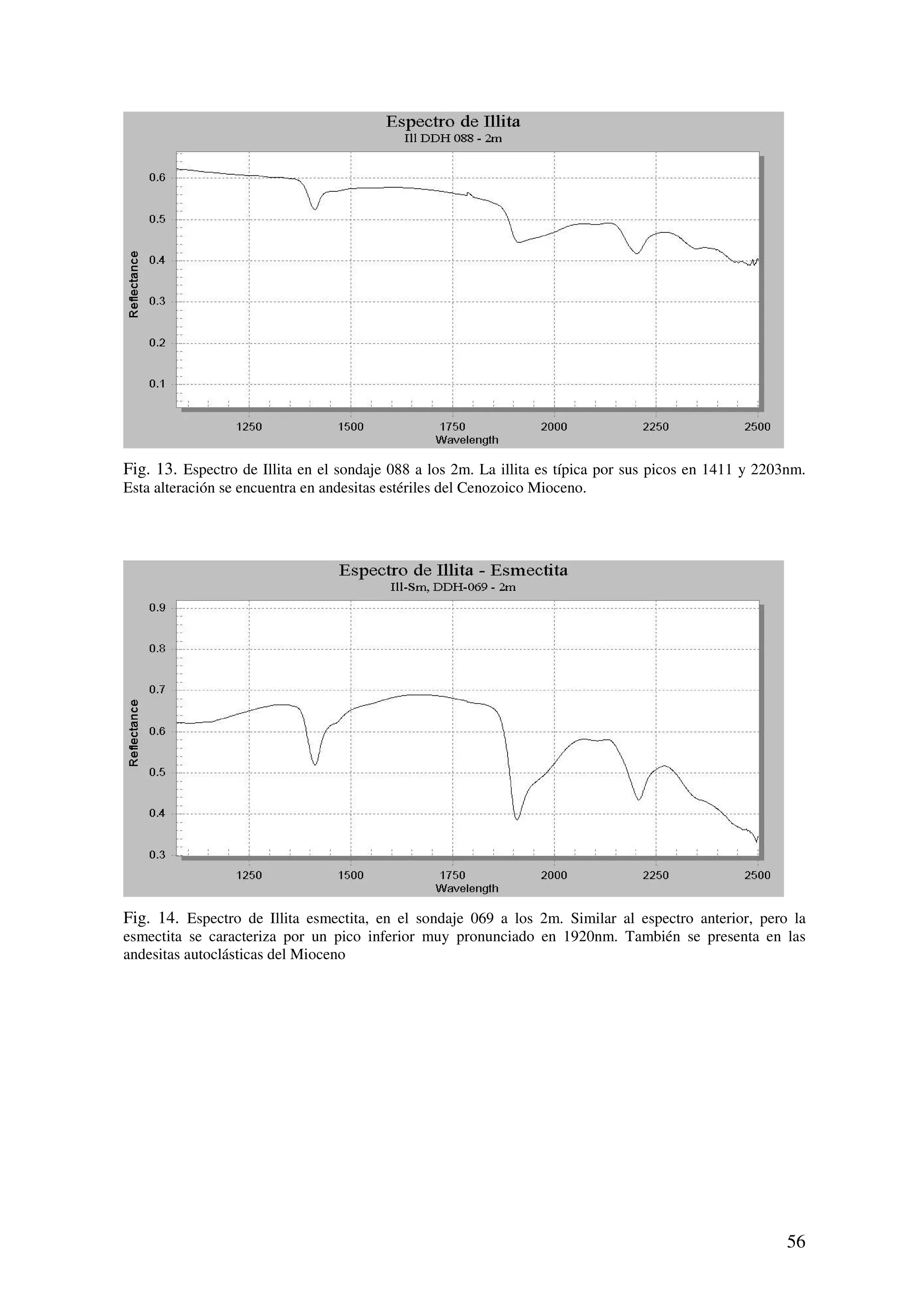 Fig. 13. Espectro de Illita en el sondaje 088 a los 2m. La illita es típica por sus picos en 1411 y 2203nm.
Esta alteración se encuentra en andesitas estériles del Cenozoico Mioceno.




Fig. 14. Espectro de Illita esmectita, en el sondaje 069 a los 2m. Similar al espectro anterior, pero la
esmectita se caracteriza por un pico inferior muy pronunciado en 1920nm. También se presenta en las
andesitas autoclásticas del Mioceno




                                                                                                        56
 