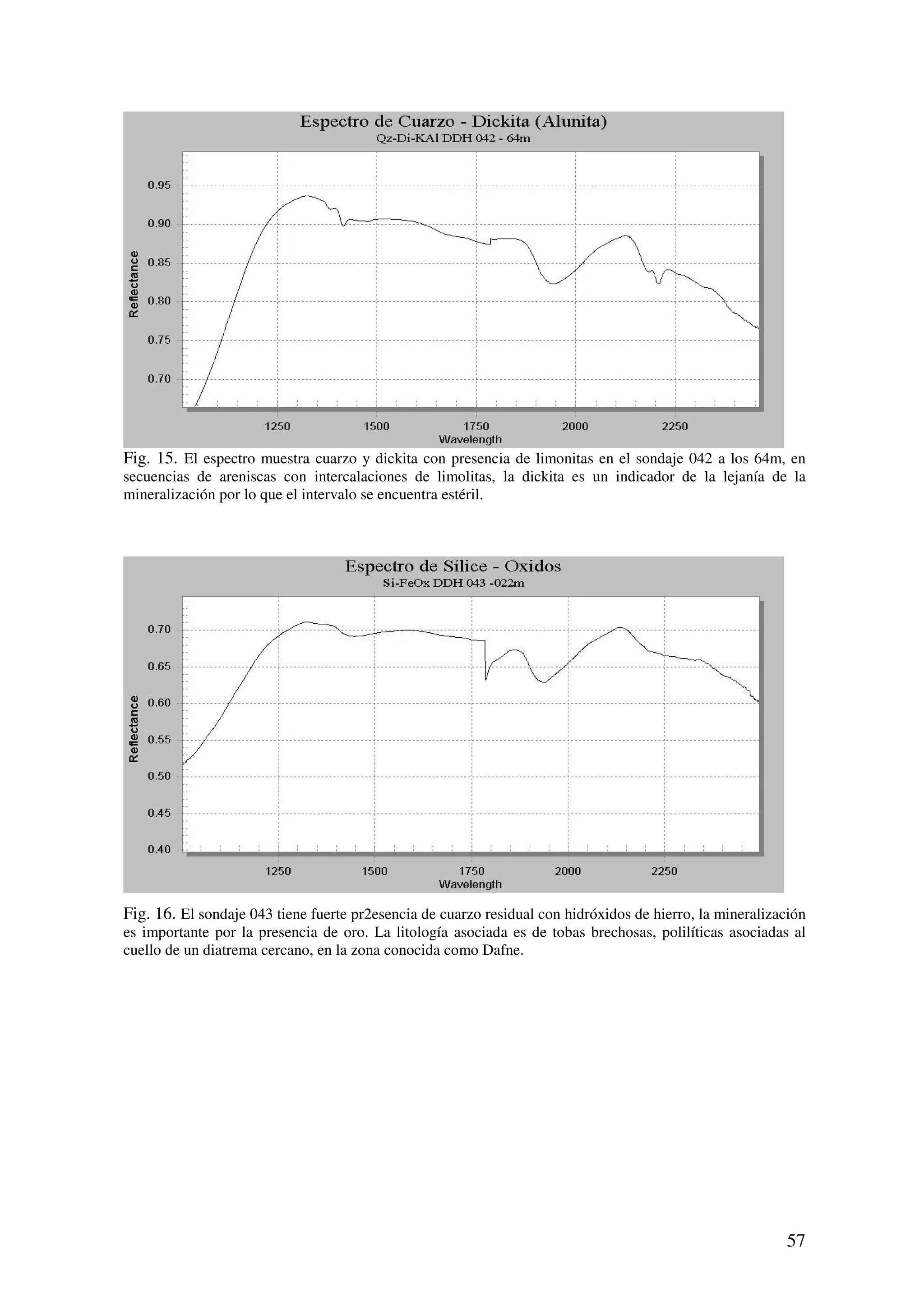 Fig. 15. El espectro muestra cuarzo y dickita con presencia de limonitas en el sondaje 042 a los 64m, en
secuencias de areniscas con intercalaciones de limolitas, la dickita es un indicador de la lejanía de la
mineralización por lo que el intervalo se encuentra estéril.




Fig. 16. El sondaje 043 tiene fuerte pr2esencia de cuarzo residual con hidróxidos de hierro, la mineralización
es importante por la presencia de oro. La litología asociada es de tobas brechosas, polilíticas asociadas al
cuello de un diatrema cercano, en la zona conocida como Dafne.




                                                                                                          57
 