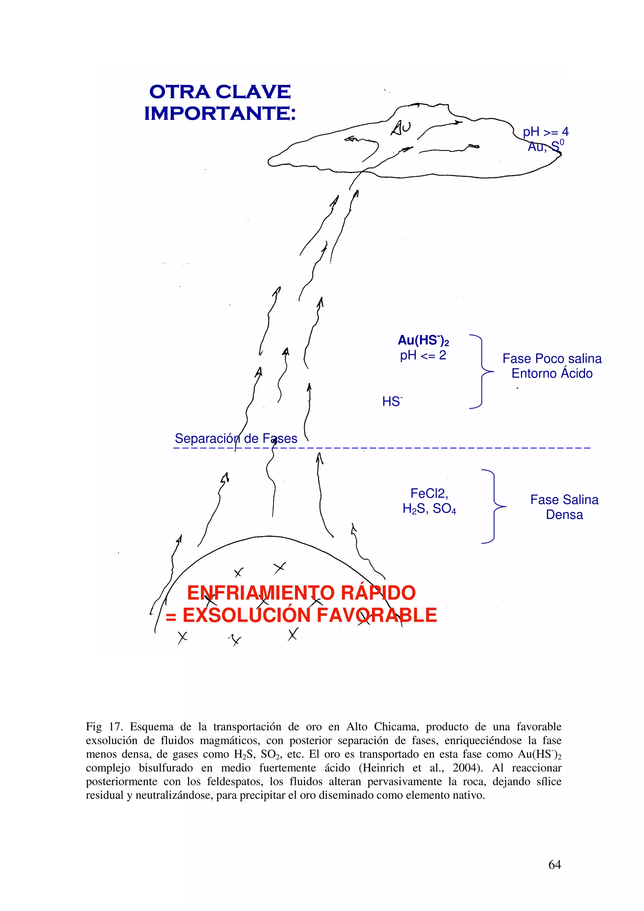 pH >= 4
                                                                                       Au, S0




                                                             Au(HS-)2
                                                             pH <= 2              Fase Poco salina
                                                                                   Entorno Ácido

                                                          HS-

                 Separación de Fases



                                                               FeCl2,                  Fase Salina
                                                              H2S, SO4                   Densa




                 ENFRIAMIENTO RÁPIDO
               = EXSOLUCIÓN FAVORABLE




Fig 17. Esquema de la transportación de oro en Alto Chicama, producto de una favorable
exsolución de fluidos magmáticos, con posterior separación de fases, enriqueciéndose la fase
menos densa, de gases como H2S, SO2, etc. El oro es transportado en esta fase como Au(HS-)2
complejo bisulfurado en medio fuertemente ácido (Heinrich et al., 2004). Al reaccionar
posteriormente con los feldespatos, los fluidos alteran pervasivamente la roca, dejando sílice
residual y neutralizándose, para precipitar el oro diseminado como elemento nativo.




                                                                                           64
 