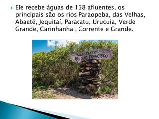  Ele recebe águas de 168 afluentes, os
principais são os rios Paraopeba, das Velhas,
Abaeté, Jequitaí, Paracatu, Urucuia, Verde
Grande, Carinhanha , Corrente e Grande.
 