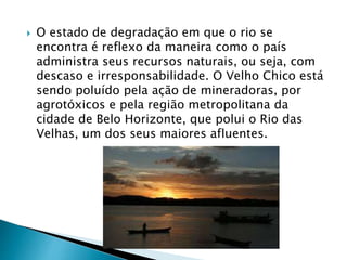  O estado de degradação em que o rio se
encontra é reflexo da maneira como o país
administra seus recursos naturais, ou seja, com
descaso e irresponsabilidade. O Velho Chico está
sendo poluído pela ação de mineradoras, por
agrotóxicos e pela região metropolitana da
cidade de Belo Horizonte, que polui o Rio das
Velhas, um dos seus maiores afluentes.
 