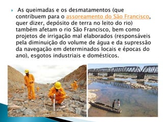 As queimadas e os desmatamentos (que
contribuem para o assoreamento do São Francisco,
quer dizer, depósito de terra no leito do rio)
também afetam o rio São Francisco, bem como
projetos de irrigação mal elaborados (responsáveis
pela diminuição do volume de água e da supressão
da navegação em determinados locais e épocas do
ano), esgotos industriais e domésticos.
 