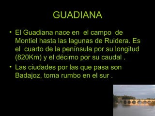 GUADIANA
• El Guadiana nace en el campo de
  Montiel hasta las lagunas de Ruidera. Es
  el cuarto de la península por su longitud
  (820Km) y el décimo por su caudal .
• Las ciudades por las que pasa son
  Badajoz, toma rumbo en el sur .
 