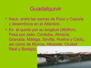 Guadalquivir
• Nace entre las sierras de Pozo y Cazorla
  y desemboca en el Atlántico.
• Es el quinto por su longitud (560Km).
  Pasa por:Jaén, Córdoba, Almería,
  Granada, Málaga, Sevilla, Huelva y Cádiz,
  así como de Murcia, Albacete, Ciudad
  Real y Badajoz.
 