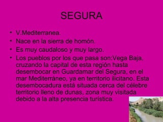 SEGURA
•   V.Mediterranea.
•   Nace en la sierra de homón.
•   Es muy caudaloso y muy largo.
•   Los pueblos por los que pasa son:Vega Baja,
    cruzando la capital de esta región hasta
    desembocar en Guardamar del Segura, en el
    mar Mediterráneo, ya en territorio ilicitano. Esta
    desembocadura está situada cerca del célebre
    territorio lleno de dunas, zona muy visitada
    debido a la alta presencia turística.
 