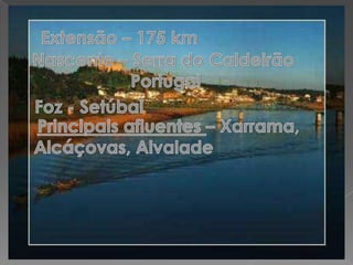 Extensão – 175 kmNascente – Serra do Caldeirão  Portugal Foz - SetúbalPrincipais afluentes – Xarrama, Alcáçovas, Alvalade