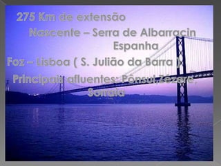 275 Km de extensãoNascente – Serra de Albarracin EspanhaFoz – Lisboa ( S. Julião da Barra ) Principais afluentes: Pônsul,Zêzere, Sorraia