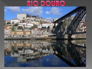 RIO DOURO