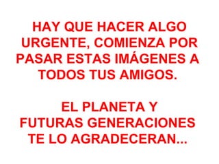 HAY QUE HACER ALGO
URGENTE, COMIENZA POR
PASAR ESTAS IMÁGENES A
TODOS TUS AMIGOS.
EL PLANETA Y
FUTURAS GENERACIONES
TE LO AGRADECERAN...
 
