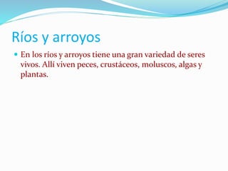 Ríos y arroyos
En los ríos y arroyos tiene una gran variedad de seres
vivos. Allí viven peces, crustáceos, moluscos, algas y
plantas.