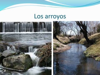 Los arroyos