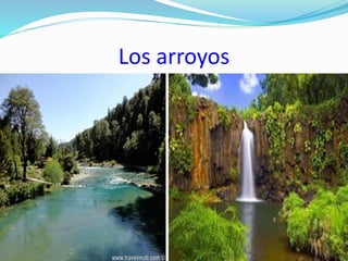 Los arroyos