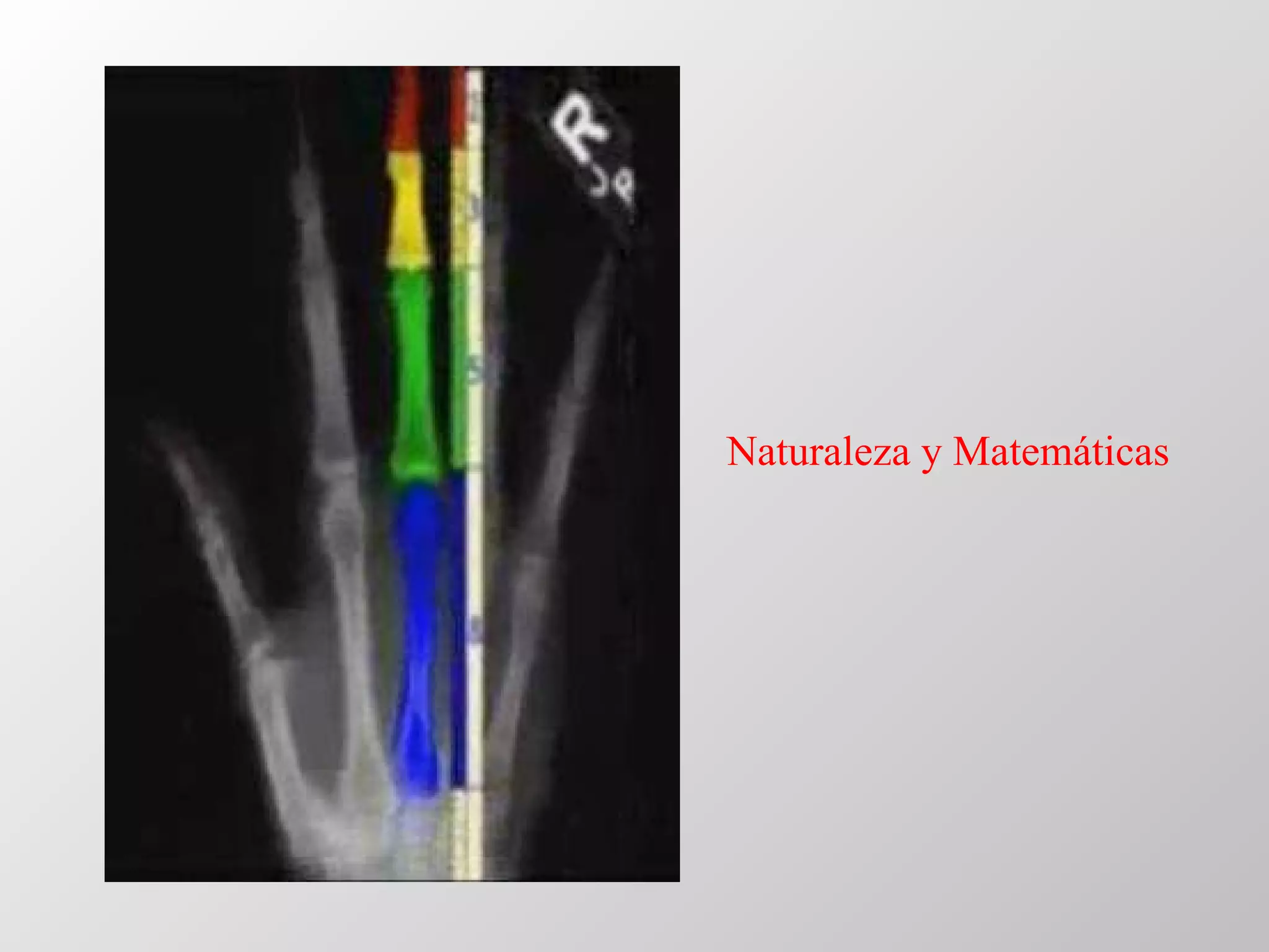 Naturaleza y Matemáticas 