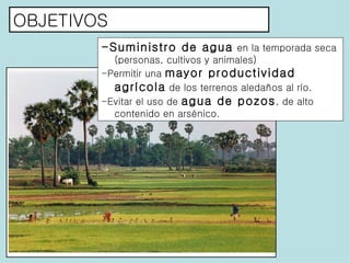 OBJETIVOS -Suministro de agua   en la temporada seca (personas, cultivos y animales) -Permitir una  mayor productividad agrícola  de los terrenos aledaños al río. -Evitar el uso de  agua de pozos , de alto contenido en arsénico.   