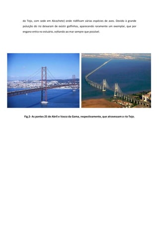 do Tejo, com sede em Alcochete) onde nidificam várias espécies de aves. Devido à grande
poluição do rio deixaram de existir golfinhos, aparecendo raramente um exemplar, que por
engano entra no estuário, voltando ao mar sempre que possível.




 Fig.2- As pontes 25 de Abril e Vasco da Gama, respectivamente, que atravessam o rio Tejo.
 