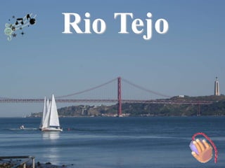 Rio Tejo
 