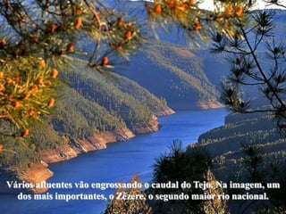 Vários afluentes vão engrossando o caudal do Tejo. Na imagem, um
  dos mais importantes, o Zêzere, o segundo maior rio nacional.
 