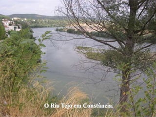 O Rio Tejo em Constância.
 
