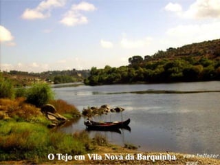 O Tejo em Vila Nova da Barquinha
 
