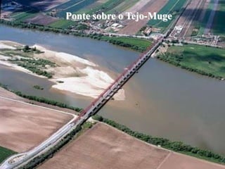 Ponte sobre o Tejo-Muge
 