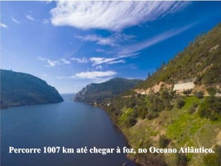 Percorre 1007 km até chegar à foz, no Oceano Atlântico.
 