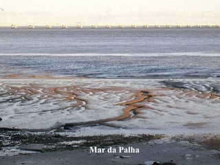 Mar da Palha
 