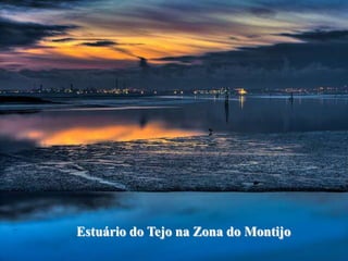 Estuário do Tejo na Zona do Montijo
 