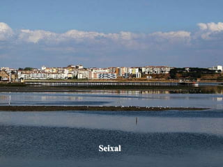 Seixal
 