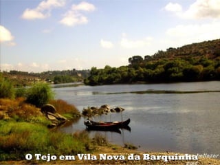 O Tejo em Vila Nova da Barquinha
 