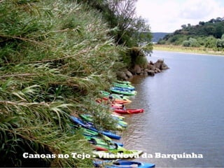 Canoas no Tejo - Vila Nova da Barquinha
 