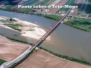 Ponte sobre o Tejo-Muge
 