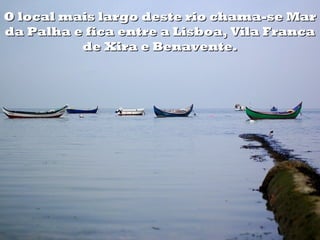 O local mais largo deste rio chama-se Mar
da Palha e fica entre a Lisboa, Vila Franca
          de Xira e Benavente.
 