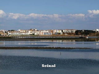 Seixal
 