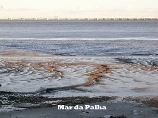 Mar da Palha

 