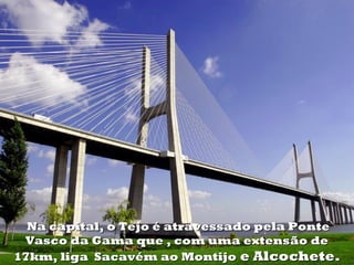 Na capital, o Tejo é atravessado pela Ponte
Vasco da Gama que , com uma extensão de
17km, liga Sacavém ao Montijo e Alcochete.

 
