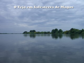 O Tejo em Salvaterra de MagosO Tejo em Salvaterra de Magos
 
