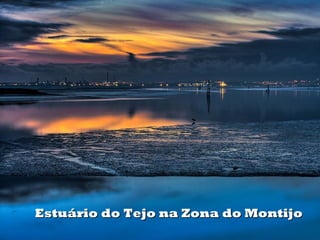 Estuário do Tejo na Zona do MontijoEstuário do Tejo na Zona do Montijo
 