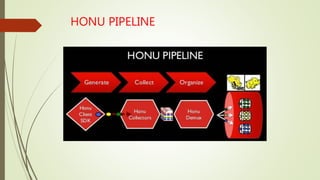 HONU PIPELINE
 